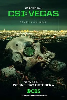 《犯罪现场调查：维加斯第一季》：罪案调查的维加斯风云