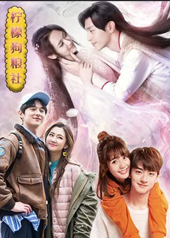 《柠檬狗粮社》：一部关于爱与成长的治愈系轻喜剧，温馨瞬间触动心弦！